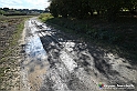 VBS_5279 - La solita strada... il grano da crescere, i campi da arare...